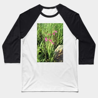 Gladiolus italicus Baseball T-Shirt